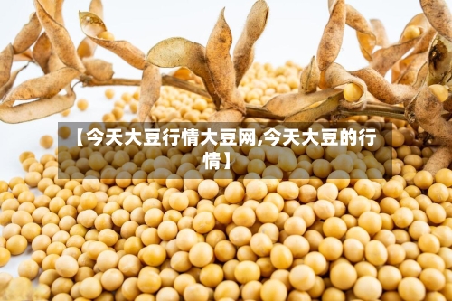 【今天大豆行情大豆网,今天大豆的行情】-第2张图片
