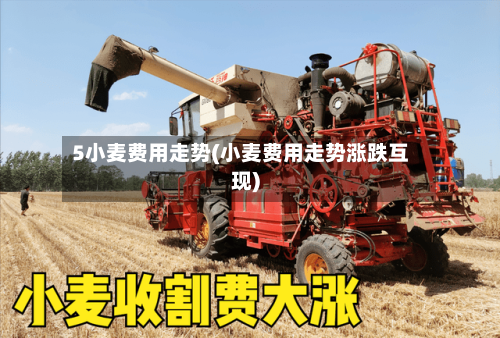 5小麦费用走势(小麦费用走势涨跌互现)-第3张图片