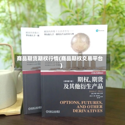 商品期货期权行情(商品期权交易平台)-第3张图片