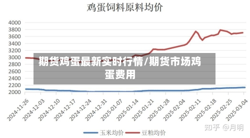 期货鸡蛋最新实时行情/期货市场鸡蛋费用