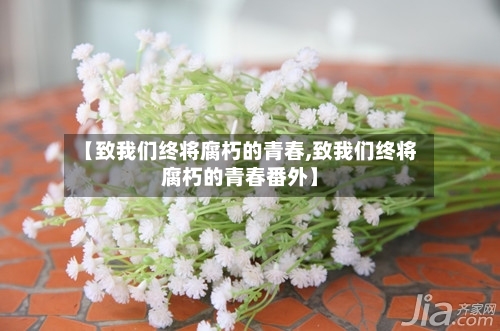 【致我们终将腐朽的青春,致我们终将腐朽的青春番外】-第2张图片