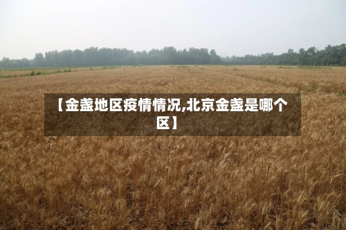 【金盏地区疫情情况,北京金盏是哪个区】-第2张图片