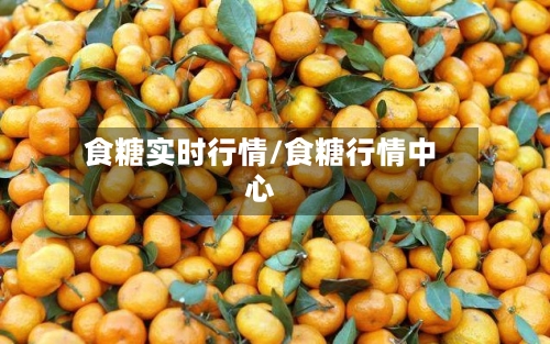 食糖实时行情/食糖行情中心