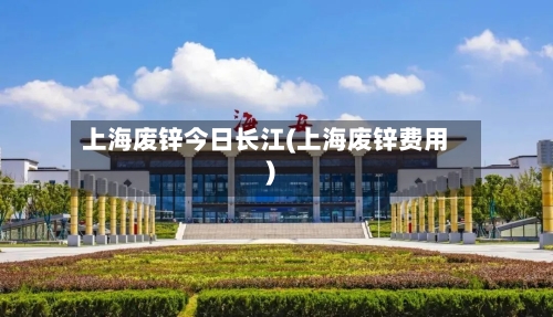 上海废锌今日长江(上海废锌费用)-第2张图片