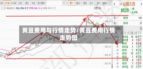 黄豆费用与行情走势/黄豆费用行情走势图