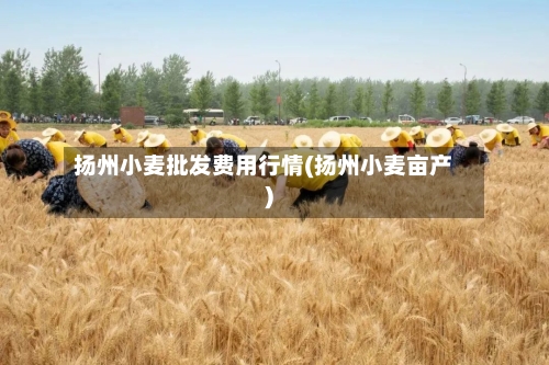 扬州小麦批发费用行情(扬州小麦亩产)-第3张图片