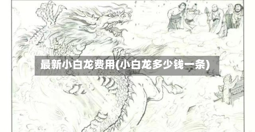 最新小白龙费用(小白龙多少钱一条)
