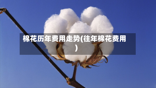 棉花历年费用走势(往年棉花费用)
