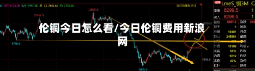 伦铜今日怎么看/今日伦铜费用新浪网-第3张图片