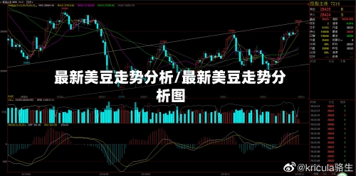 最新美豆走势分析/最新美豆走势分析图-第2张图片
