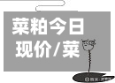 菜粕今日现价/菜粕现货报价