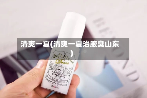 清爽一夏(清爽一夏治腋臭山东)-第2张图片