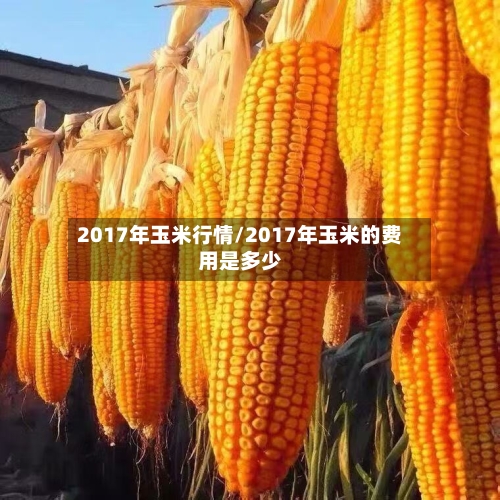 2017年玉米行情/2017年玉米的费用是多少-第3张图片