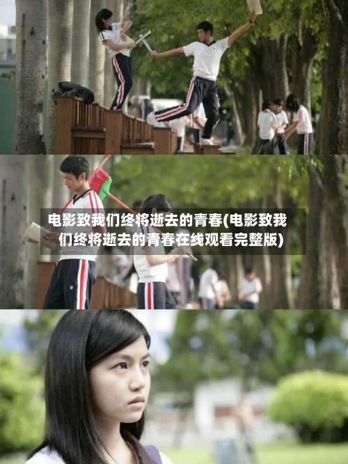 电影致我们终将逝去的青春(电影致我们终将逝去的青春在线观看完整版)-第2张图片