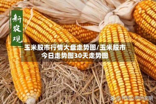 玉米股市行情大盘走势图/玉米股市今日走势图30天走势图-第3张图片