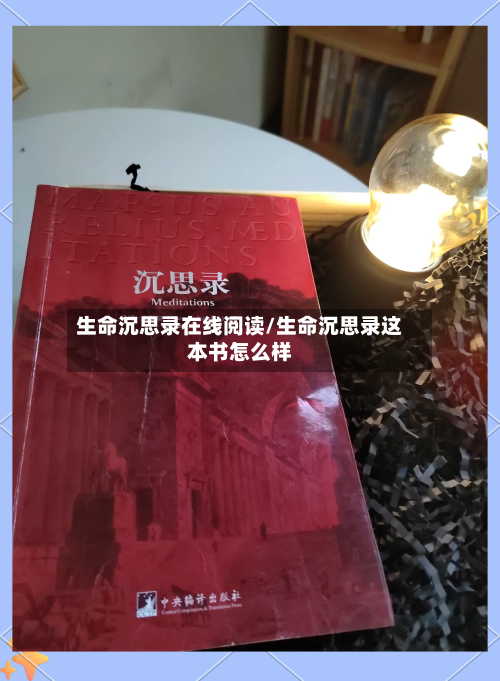 生命沉思录在线阅读/生命沉思录这本书怎么样-第2张图片