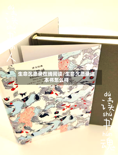 生命沉思录在线阅读/生命沉思录这本书怎么样