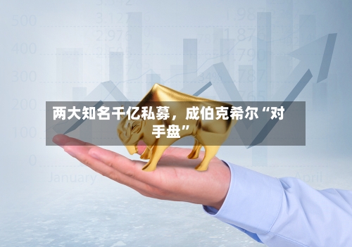 两大知名千亿私募，成伯克希尔“对手盘”-第3张图片