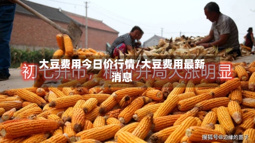 大豆费用今日价行情/大豆费用最新消息