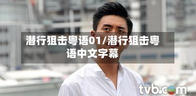 潜行狙击粤语01/潜行狙击粤语中文字幕-第3张图片