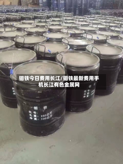 钼铁今日费用长江/钼铁最新费用手机长江有色金属网