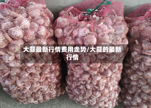 大蒜最新行情费用走势/大蒜的最新行情