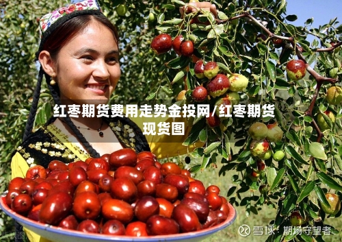 红枣期货费用走势金投网/红枣期货现货图