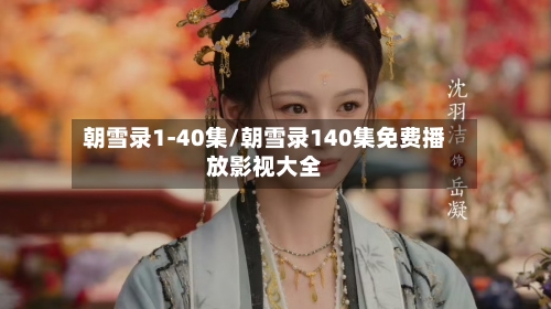 朝雪录1-40集/朝雪录140集免费播放影视大全-第2张图片