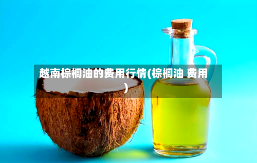 越南棕榈油的费用行情(棕榈油 费用)