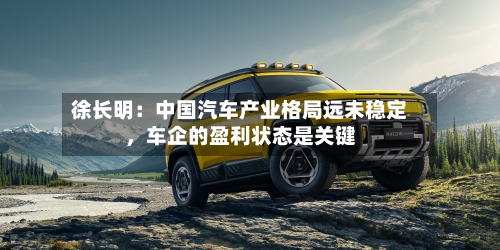 徐长明:中国汽车产业格局远未稳定,车企的盈利状态是关键