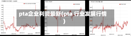 pta企业利润最新(pta 行业发展行情)-第2张图片