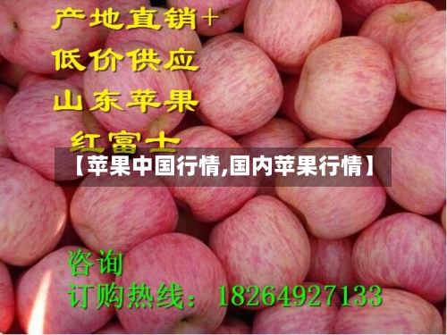 【苹果中国行情,国内苹果行情】-第2张图片
