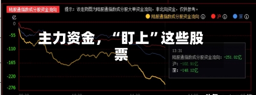 主力资金,“盯上”这些股票