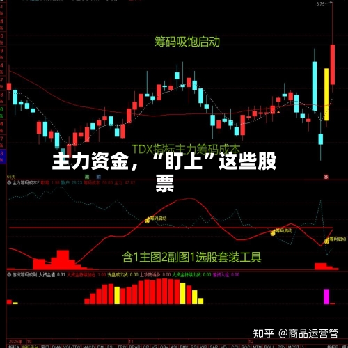 主力资金，“盯上”这些股票-第2张图片