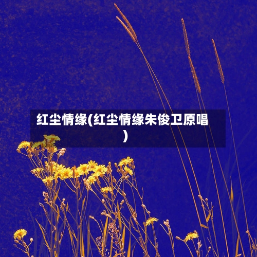 红尘情缘(红尘情缘朱俊卫原唱)